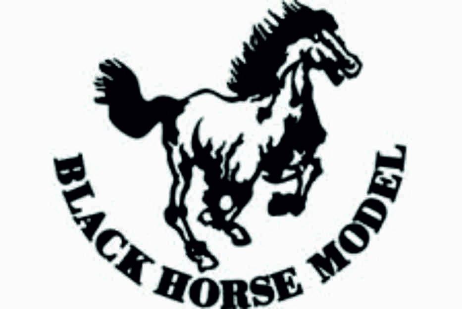 Black Horse