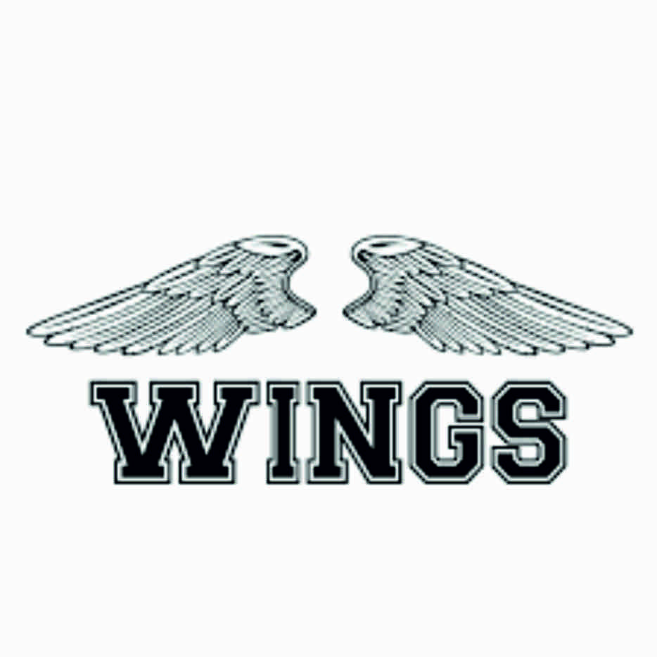 Custom Wings