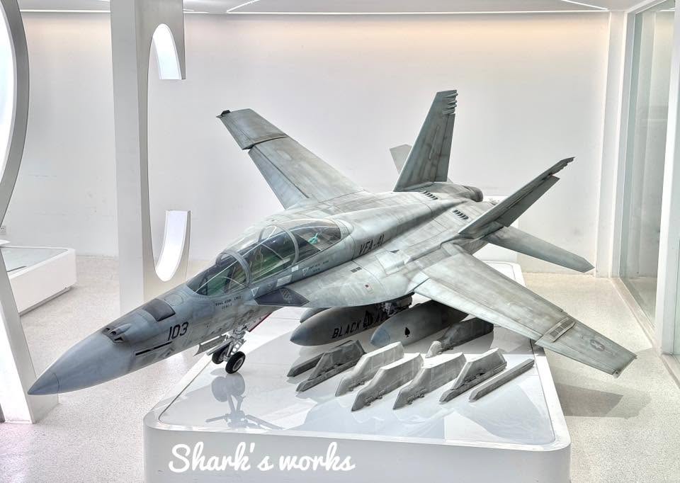 F/A-18F Super Hornet 1/4.3 Scale