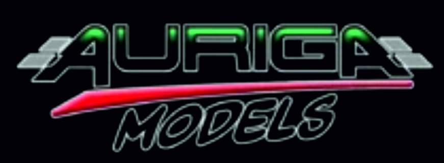 AURIGA models